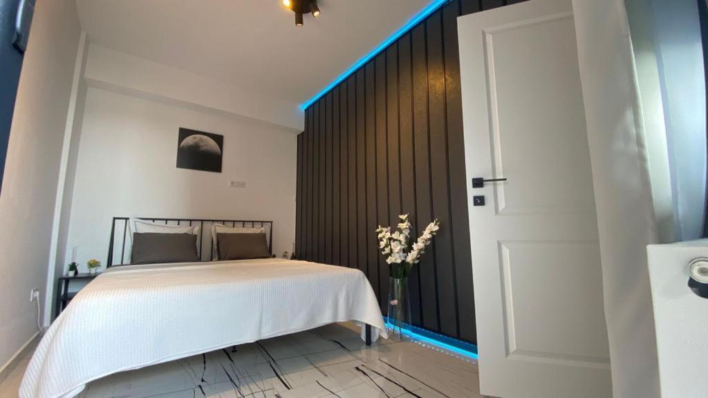 Q Luxury Apartment - Palas Center Jassy Zewnętrze zdjęcie